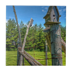 Canada, Ontario, Erin, bird house Tile