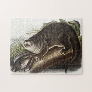 Canada Otter (Lutra Canadensis) Illustration Jigsaw Puzzle