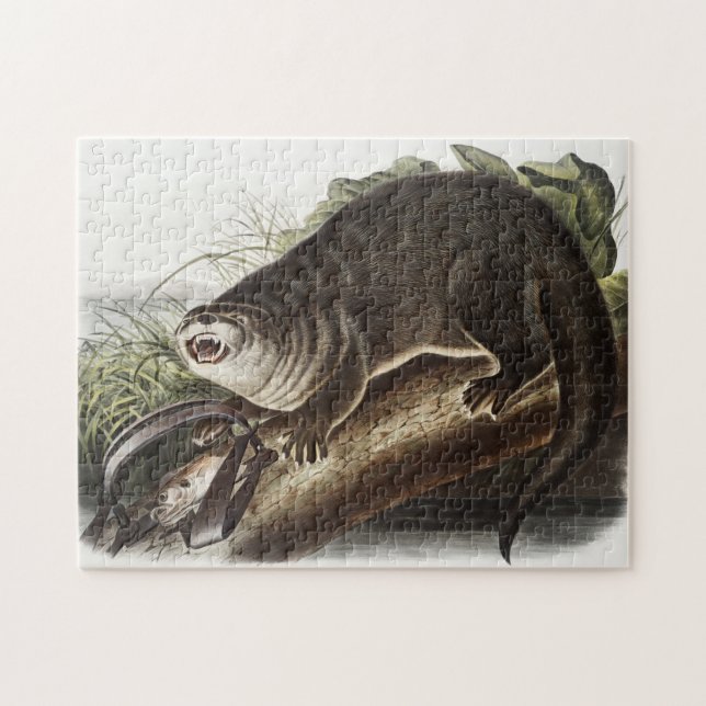 Canada Otter (Lutra Canadensis) Illustration Jigsaw Puzzle (Horizontal)