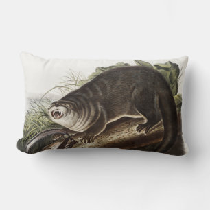 Canada Otter (Lutra Canadensis) Illustration Lumbar Pillow