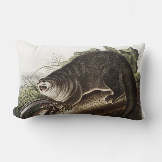 Canada Otter (Lutra Canadensis) Illustration Lumbar Pillow (Front)