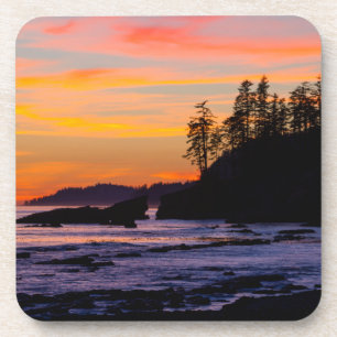 Canada, Pacific Rim National Park Reserve, West Coaster
