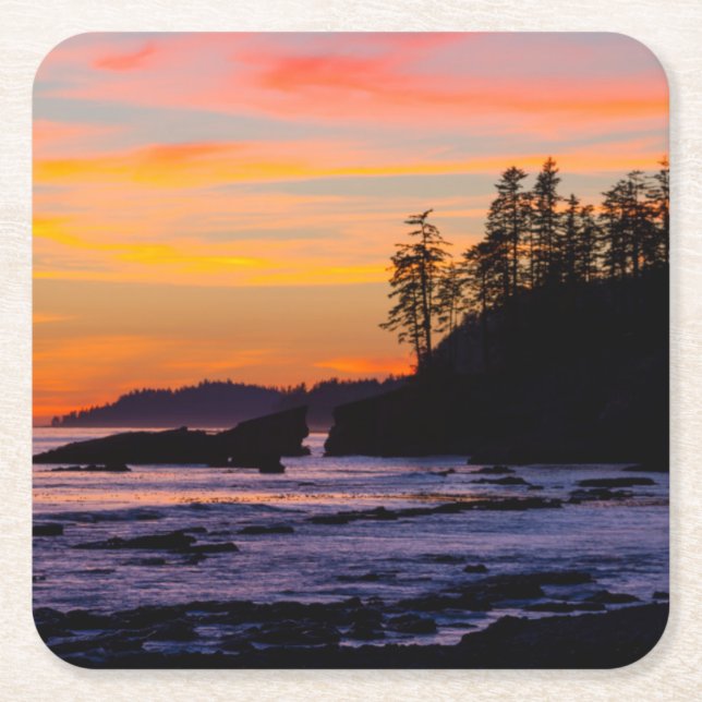 Canada, Pacific Rim National Park Reserve, West Square Paper Coaster (Front)
