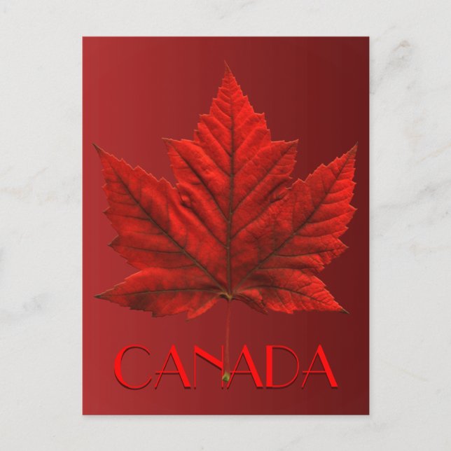 Canada Postcards Custom Canada Souvenir Postcards (Front)