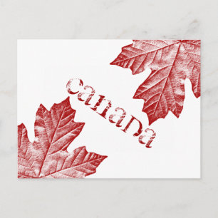 Canada Postcards Custom Canada Souvenir Postcards