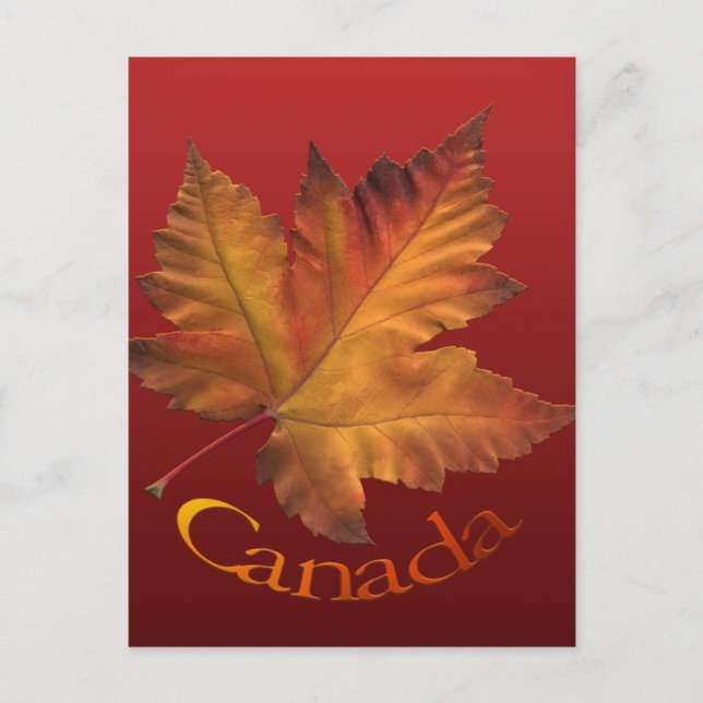 Canada Postcards Custom Canada Souvenir Postcards (Front)