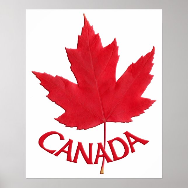 Canada Poster Canada Maple Leaf Souvenir Print (Front)