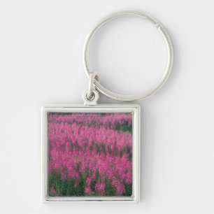 Canada, Quebec, Gaspe. Purple Lythrum Flowers, Keychain