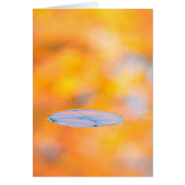 Canada, Quebec | Mount St-Bruno Conservation Park (Front)