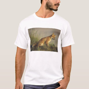 Canada, Quebec. Red fox cub at sunrise T-Shirt