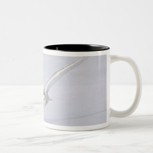 Canada, Quebec. Snowy owl flies low over snow. Two-Tone Coffee Mug (Right)