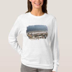Canada, Quebec. VIA Rail Canada train The T-Shirt