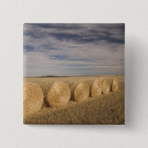 Canada, Saskatchewan, Craik: Hayrolls / Autumn 2 Inch Square Button