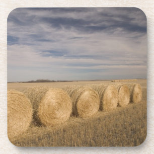 Canada, Saskatchewan, Craik: Hayrolls / Autumn Coaster