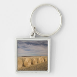 Canada, Saskatchewan, Craik: Hayrolls / Autumn Keychain