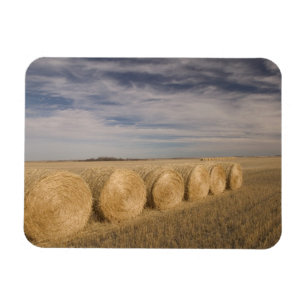 Canada, Saskatchewan, Craik: Hayrolls / Autumn Magnet