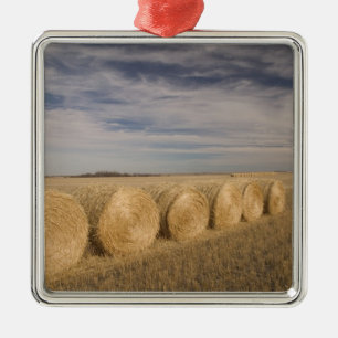 Canada, Saskatchewan, Craik: Hayrolls / Autumn Metal Ornament