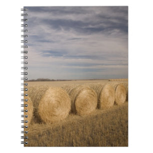 Canada, Saskatchewan, Craik: Hayrolls / Autumn Notebook