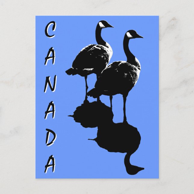 Canada Souvenir Postcards Canada Geese Cards (Front)