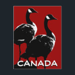 Canada Souvenir Postcards Canada Geese Cards<br><div class="desc">Canada Postcards Canada Geese Souvenir Postcards Personalized Canadian Goose Postcards Click "Customize" to Add Text Choose Fonts and Custom Colours Personalized Canada Souvenir Cards Invitations and Golden Goose Greeting Cards Canadian Waterfowl Postcards & Souvenirs Design by Canadian Artist / Designer Kim Hunter. See www.kimhunter.ca for many more Canada Souvenirs &...</div>