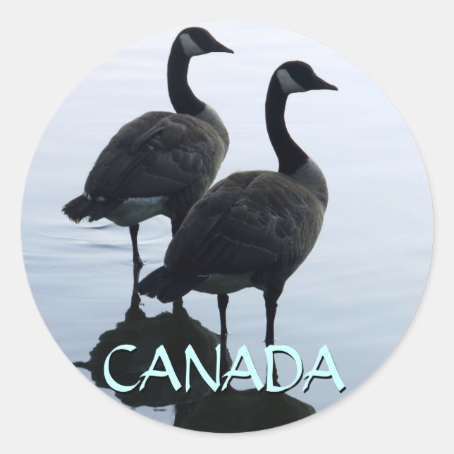 Canada Souvenir Stickers Canada Goose Stickers (Front)