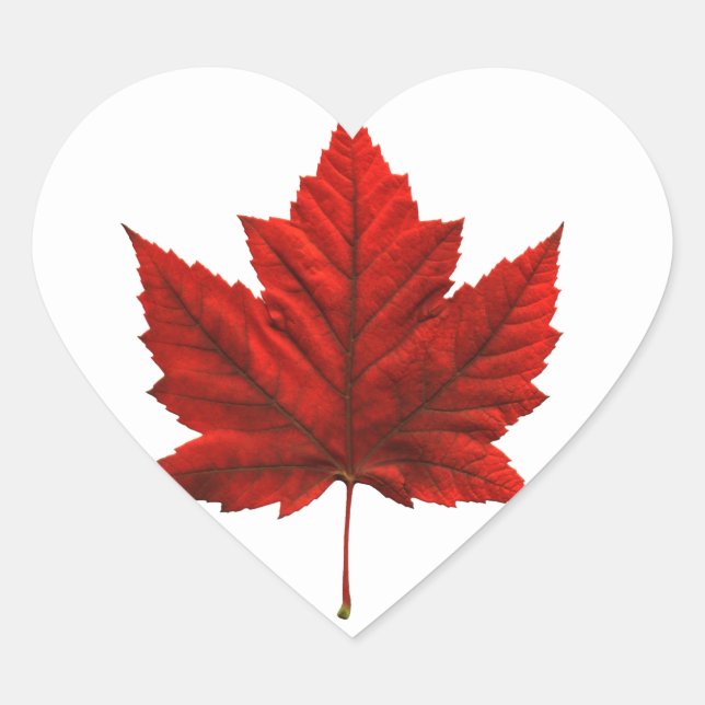 Canada Souvenir Stickers Red Maple Leaf Stickers (Front)