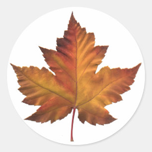 Canada Stickers Canada Maple Leaf Souvenir