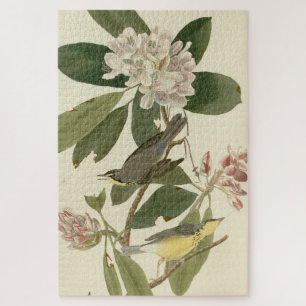 Canada Warbler from Audubon's Birds of America Jigsaw Puzzle