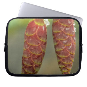 Canada, Yukon, Black Spruce Cones Laptop Sleeve