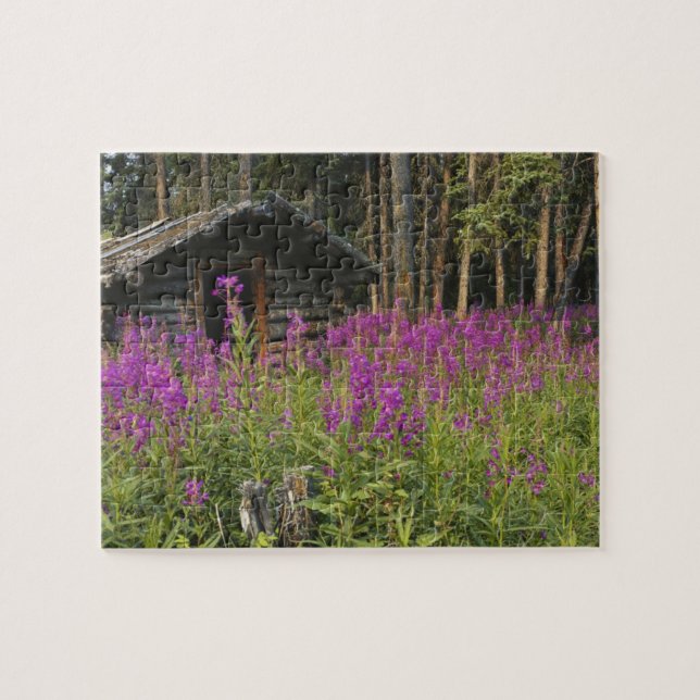 Canada, Yukon, Ross River area, Abandoned cabin Jigsaw Puzzle (Horizontal)