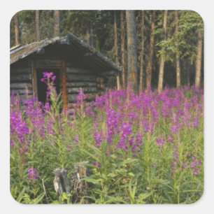 Canada, Yukon, Ross River area, Abandoned cabin Square Sticker