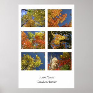 Canadian Autumn Poster