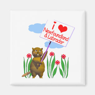 Canadian Beaver Loves Newfoundland, Labrador Magnet