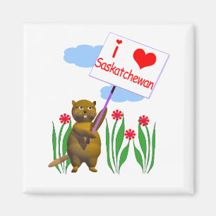 Canadian Beaver Loves Saskatchewan Magnet