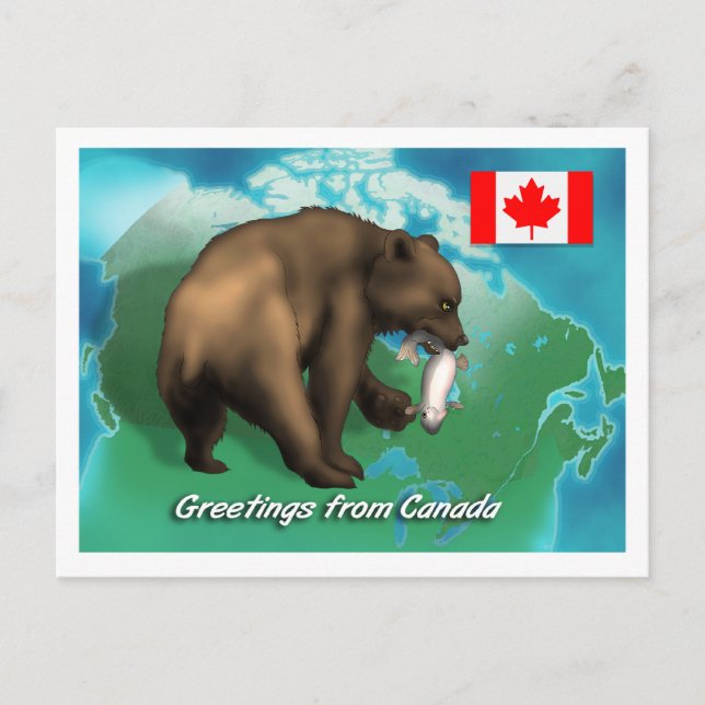 Canadian Black Bear Postcard (Front)