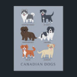 Canadian Dogs Postcard<br><div class="desc">An adorable,  animated postcard showing Canadian breeds of dogs.</div>