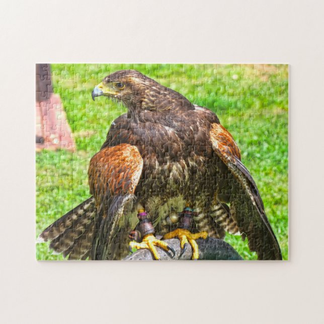 Canadian Eagles. Jigsaw Puzzle (Horizontal)