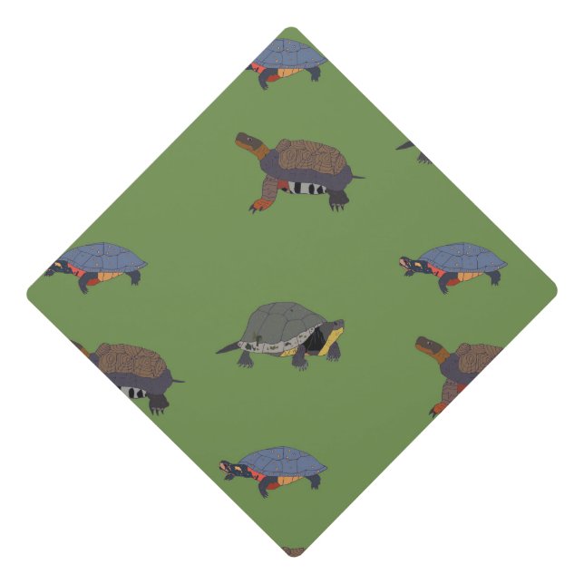 Canadian Endangered Turtles cap topper (Front)