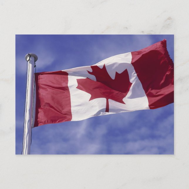 Canadian flag postcard (Front)