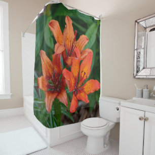 Canadian Flower Beauty, Orange Daylily
