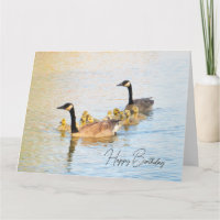 Canadian Geese Family - Birthday Card