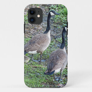 Canadian Geese Family iPhone 11 Case