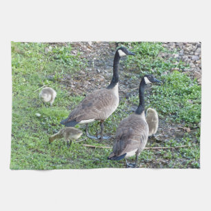 Canadian Geese Family Kitchen Towel