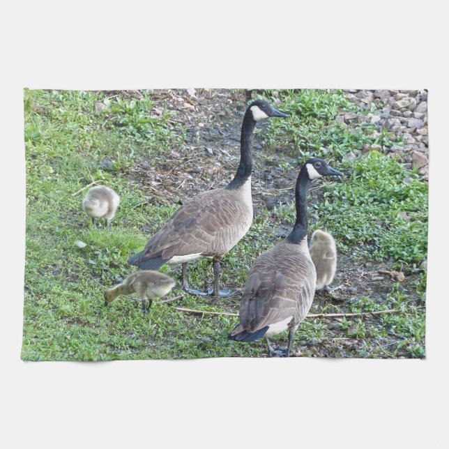 Canadian Geese Family Kitchen Towel (Horizontal)
