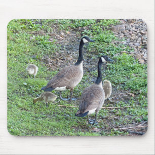 Canadian Geese Family Mouse Pad