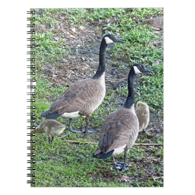 Canadian Geese Family Notebook (Front)