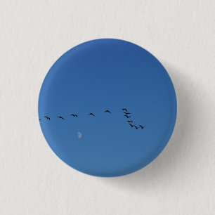 Canadian geese in flight 1 inch round button