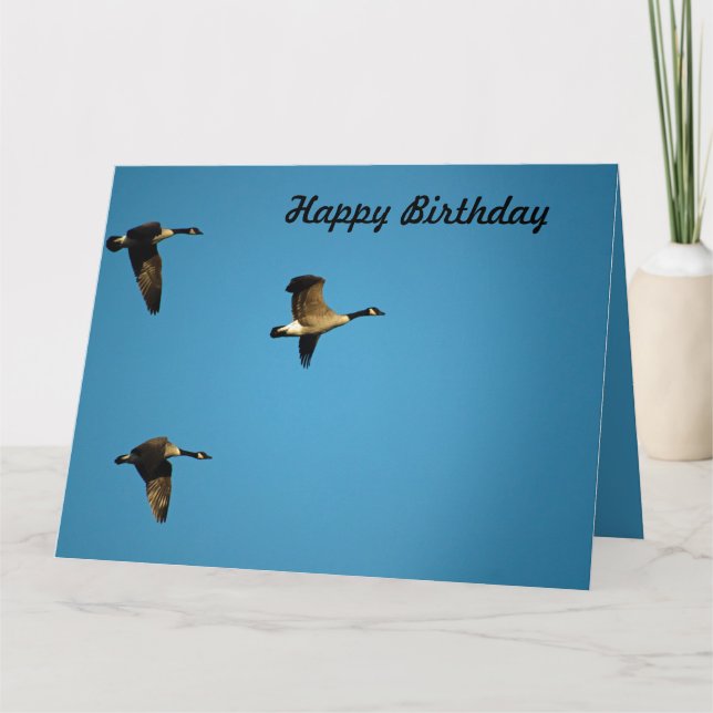 Canadian geese in flight  card (Front)