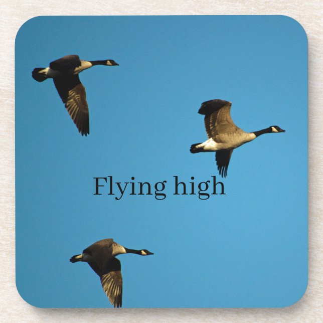 Canadian geese in flight   coaster (Front)