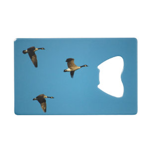 Canadian geese in flight credit card bottle opener